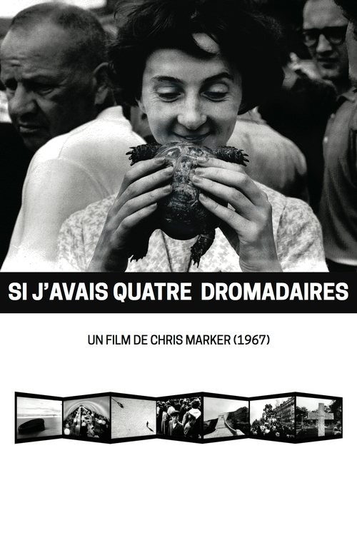 Si+j%27avais+quatre+dromadaires