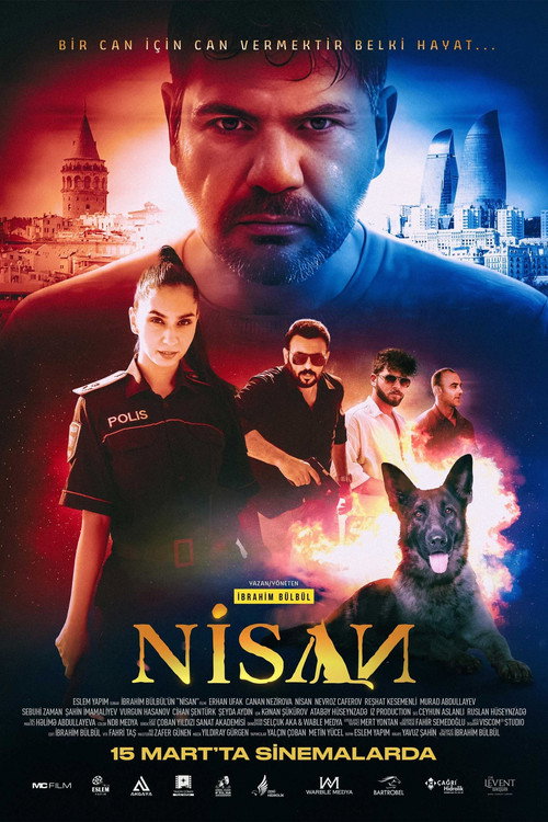 Nisan Poster