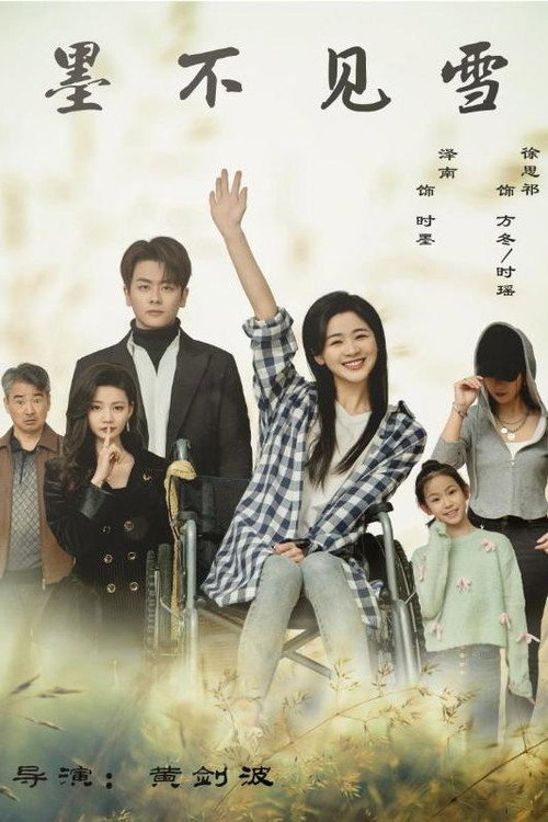 墨不见雪电影海报