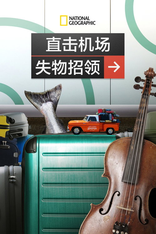 直击机场失物招领电影海报