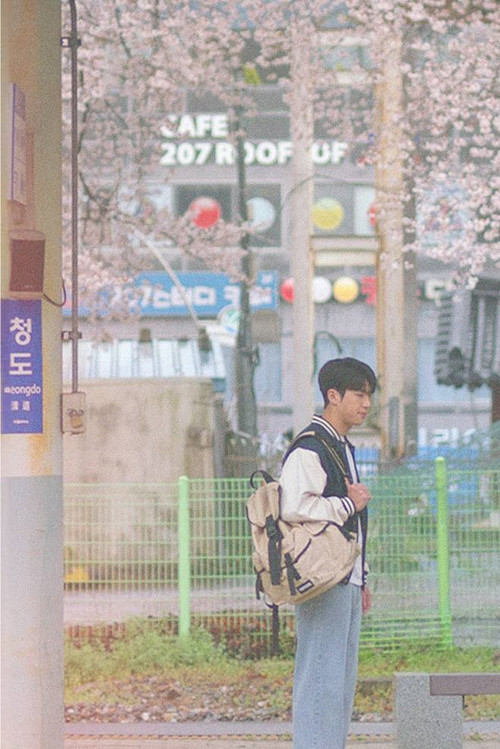 연애부록电影海报