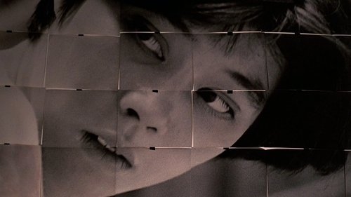 Terrorista (1986) film complet