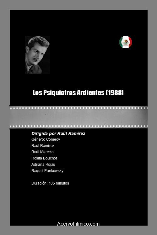 Los psiquiatras ardientes poster 2