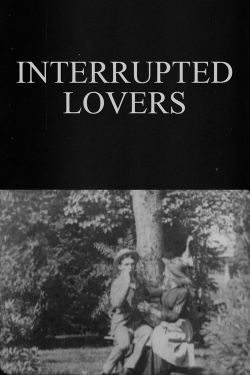 Interrupted Lovers poster 2