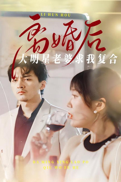 离婚后，大明星老婆求我复合电影海报