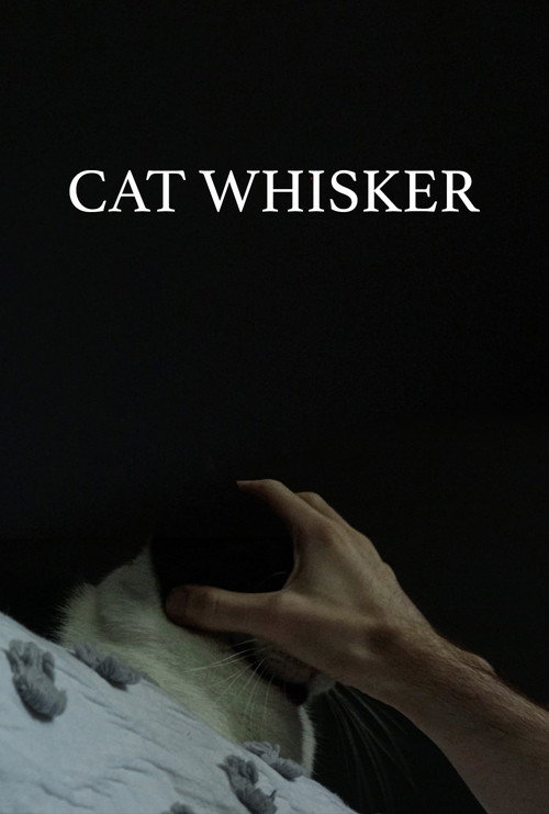 Cat Whisker电影海报