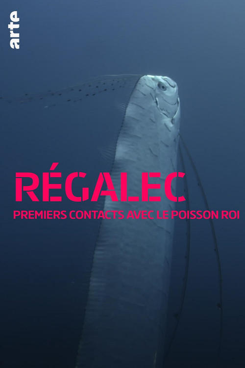 R%C3%A9galec%2C+premiers+contacts+avec+le+poisson+roi