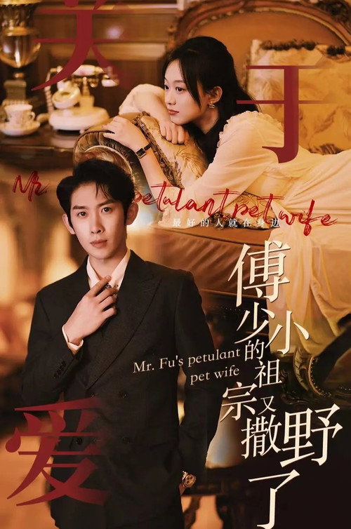 傅少的小祖宗又撒野了电影海报