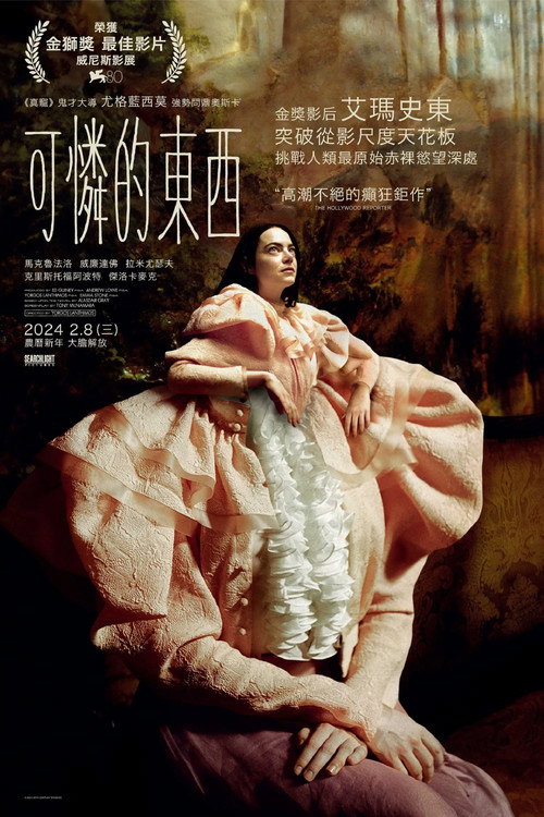 可怜的东西电影海报