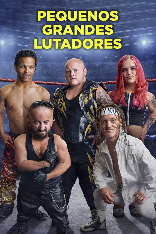 Pequenos Grandes Lutadores电影海报