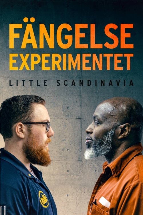 Poster of Prison Project: Little Scandinavia