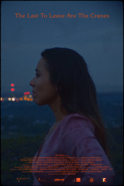 The Last to Leave Are the Cranes poster 2