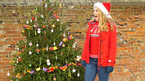Reindeer and Christmas Decorations