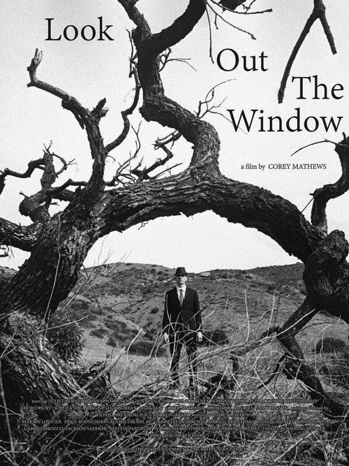 Look Out The Window