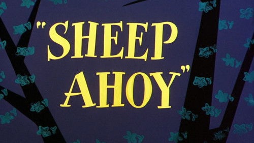Sheep Ahoy