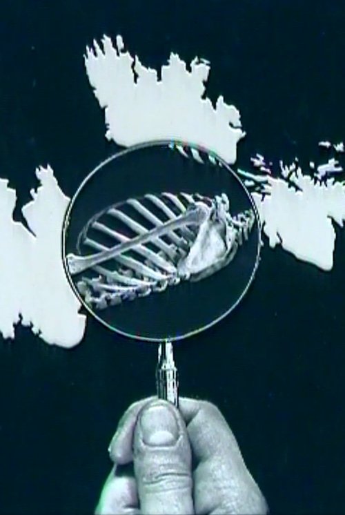 Photomontage Today: Peter Kennard
