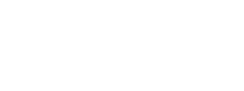 Go Faster Stripe Logo