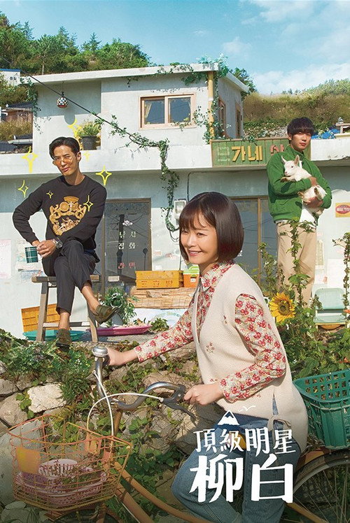 超级巨星柳白电影海报