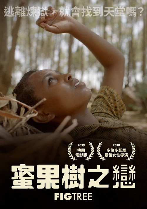 无花果之树电影海报