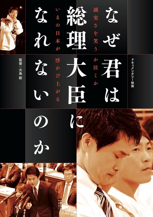 なぜ君は総理大臣になれないのか poster