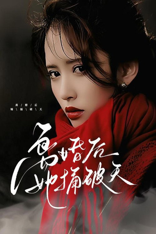 离婚后她捅破天电影海报