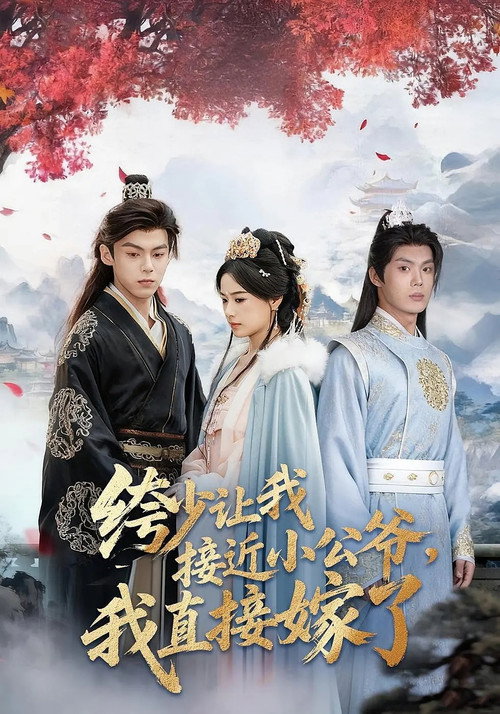 绔少让我接近小公爷，我直接嫁了电影海报