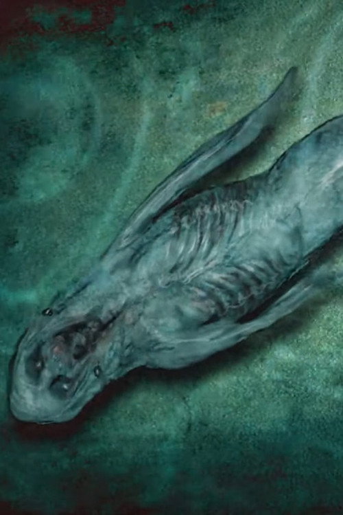 Mermaids电影海报