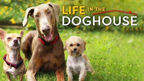 Life in the Doghouse (2018) Ver Pelicula Completa Streaming Online