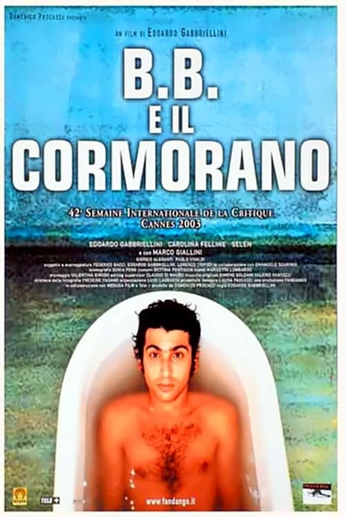 B.B.+e+il+cormorano