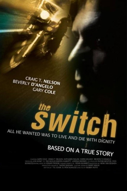 The Switch poster 6