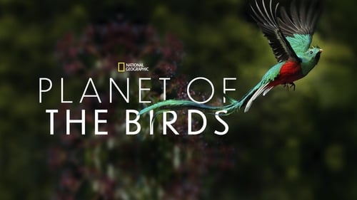 Planet of the Birds (2018) watch movies online free