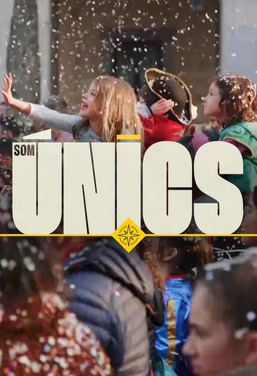 Som únics poster 3
