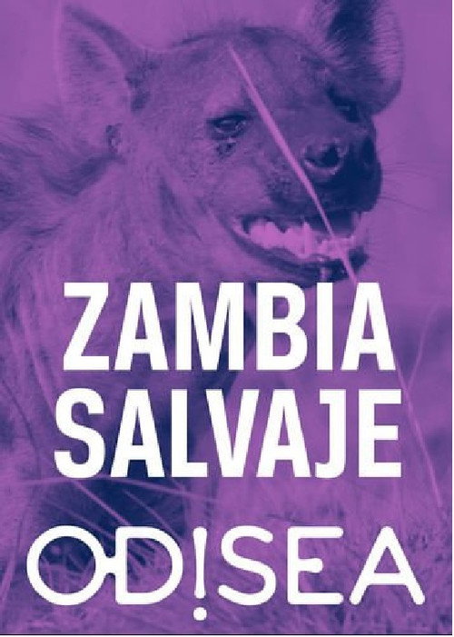 Zambia Salvaje电影海报
