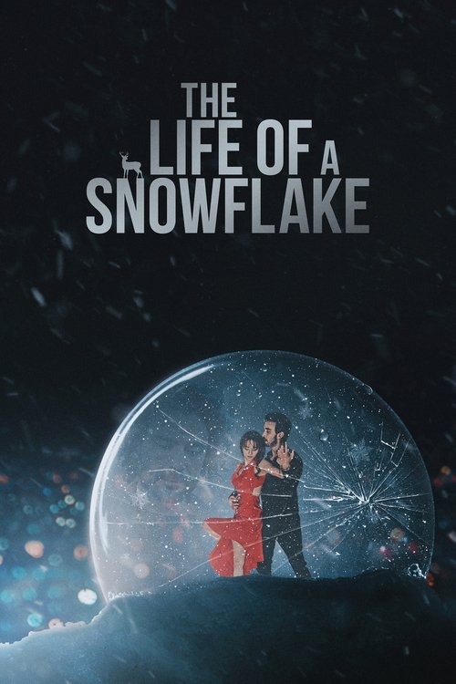 The+Life+of+a+Snowflake