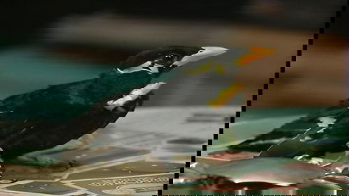 images
