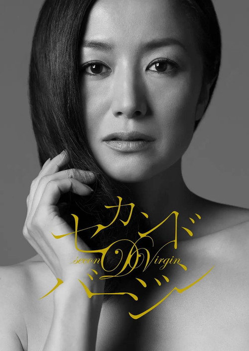 第二处女电影海报