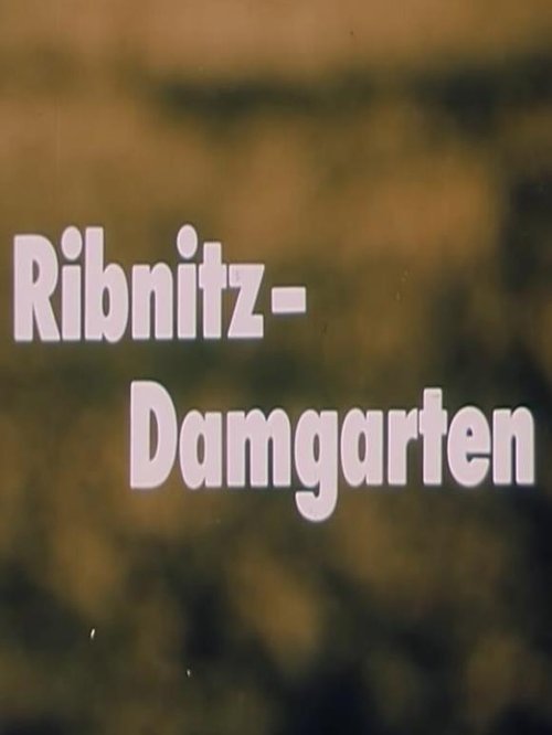 Ribnitz-Damgarten Poster