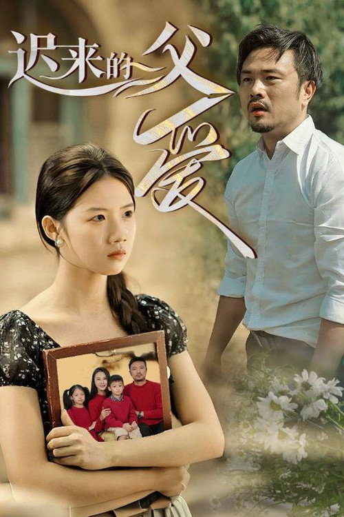迟来的父爱电影海报