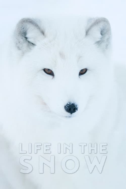 Life+In+The+Snow