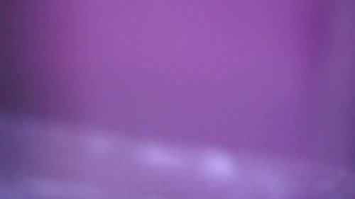 Backdrop