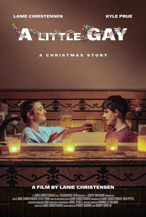 A Little Gay Poster