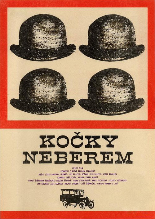 Kočky neberem poster 2