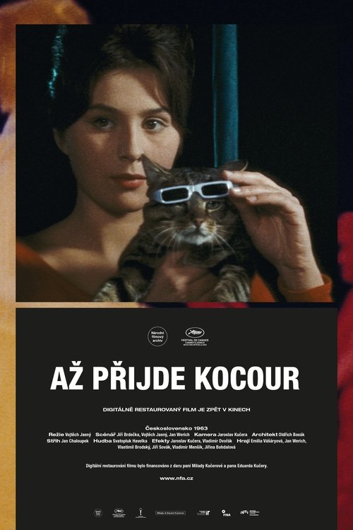 Poster of Až přijde kocour