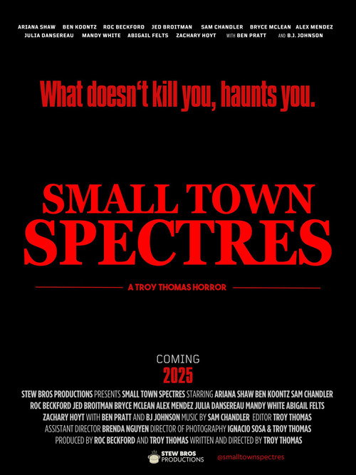 Small Town Spectres poster 7