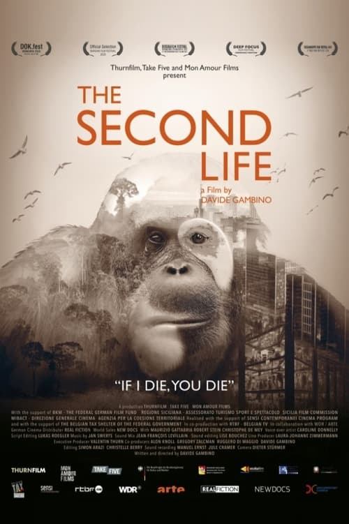 The+Second+Life