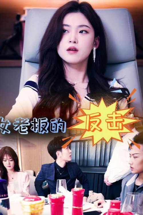 女老板的反击电影海报
