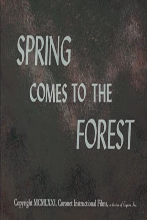 Spring+Comes+to+the+Forest