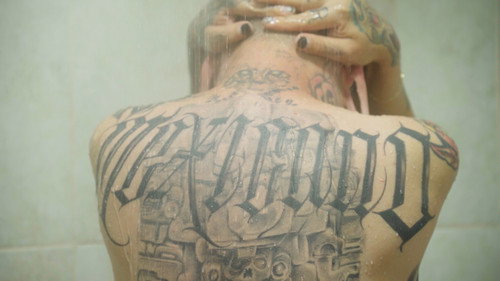 Backdrop