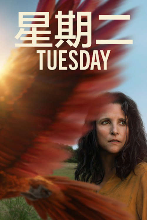 星期二电影海报