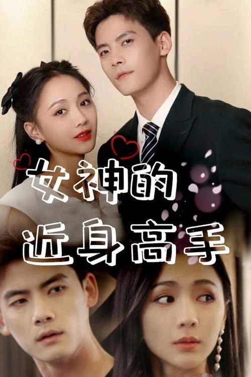 女神的近身高手海报